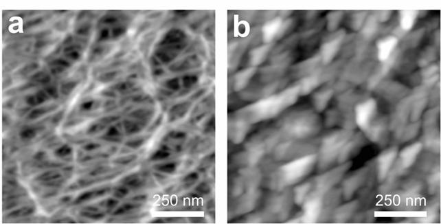 BOPP as a test sample to check AFM tip performance An AFM image (a) obtained on a BOPP film using a clean tip, reflecting the true morphology characterized by the fiber-like network structure.