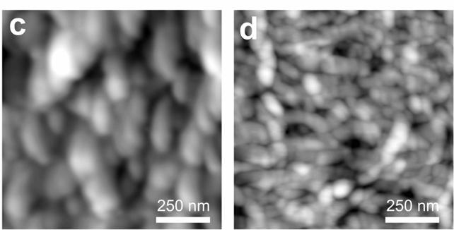 Comparison of the AFM images strongly suggests that the BOPP film can be used as a reference sample to check the performance of an AFM tip.