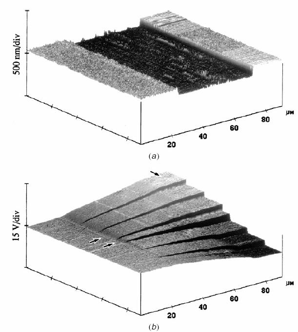 Scanning surface potential microscopy When there is a difference in potentials between the tip and sample surfaces, an oscillating electromagnetic force appears between the tip and sample surface at