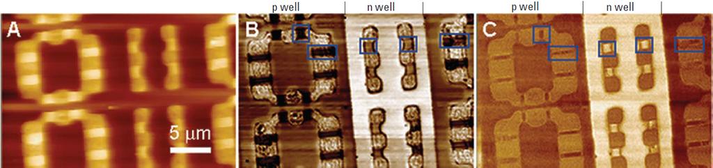 Examples of SPM images Scanning Capacitance Microsocpy