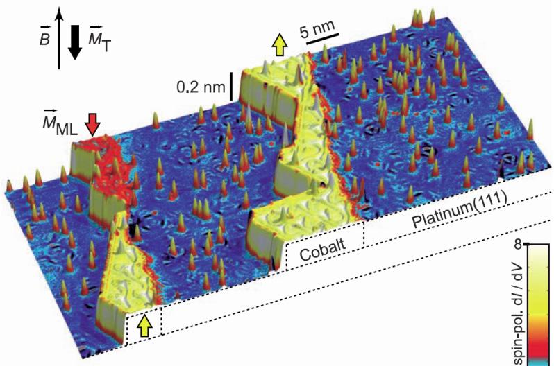 Conclusion scanning probe microscopy scan a probe across a surface measuring physical interaction specific interaction between probe tip and sample tunneling current (STM) tip-sample force (AFM)