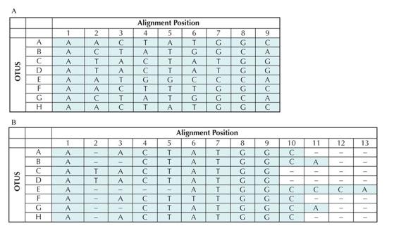 3) Sequence alignment Multiple Sequence Alignment is performed on the sequences. Remember that an alignment also represent an hypothesis!