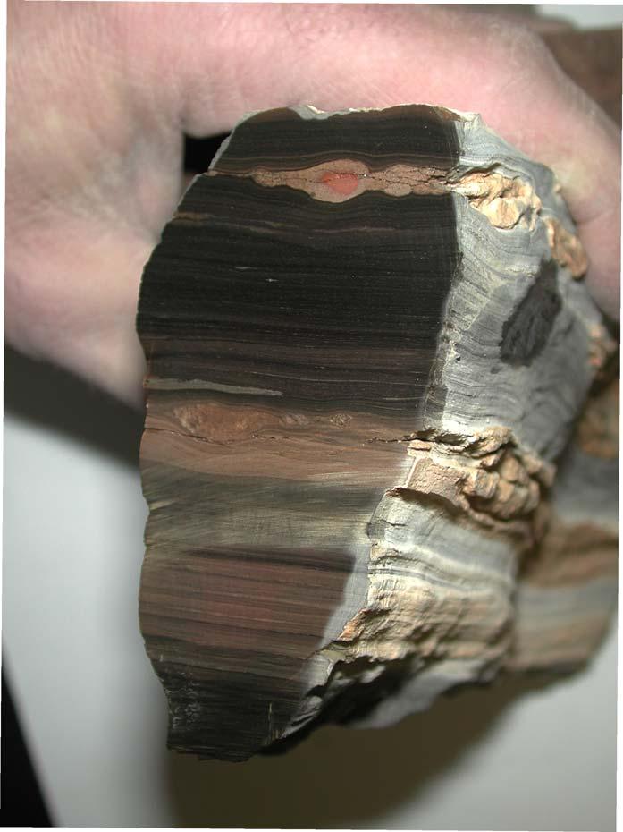 Oil Shale Samples Analyzed various Piceance Basin outcrop samples using XRD, SEM and TGA- MS.