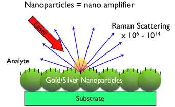 SERS Surface Enhanced Raman Scattering SERS is a surface sensitive technique.