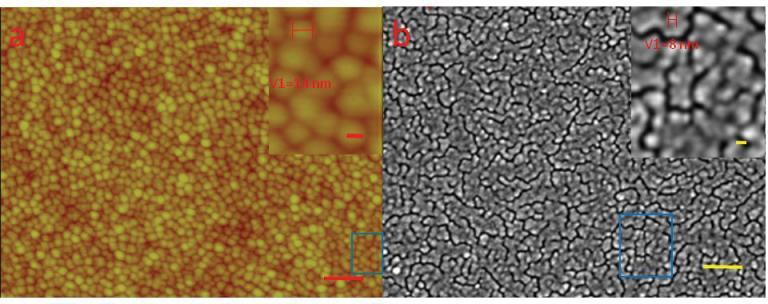 Figure 4 (a) AFM image and (b) SEM image of a high density Ag NPs films on glass slide (substrate 2, 7x7 mm). The scale bars shown in (a) and (b) are 100 nm.