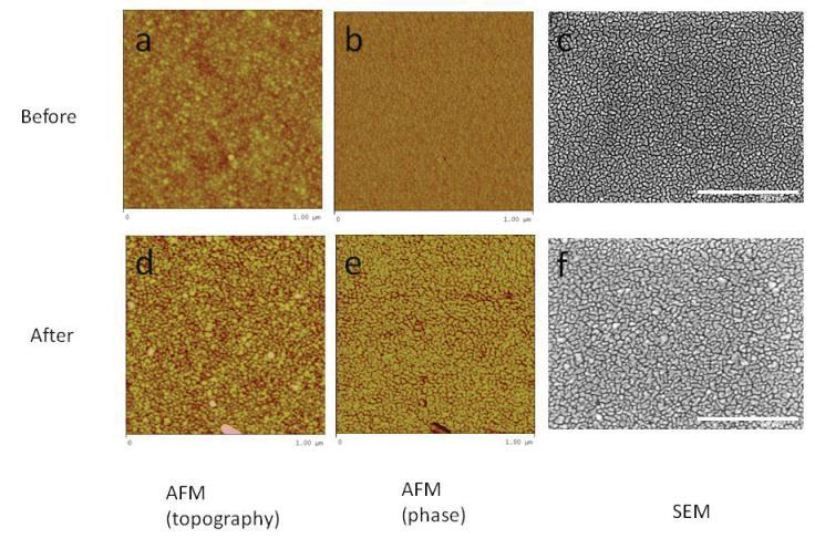 Figure 16 AFM topography (a and d) and phase (c and e) images and SEM images (c and f) of substrate 21 before (a, b and c) and after (d, e and f) 20 hours of exposure to 0.