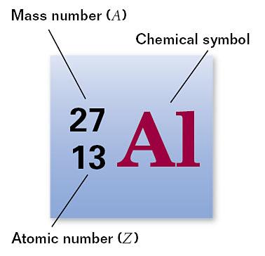 Section 1 The Nucleus Properties of the Nucleus Nuclear Quantities The mass number (A) represents the total number of protons and neutrons or nucleons in the nucleus.
