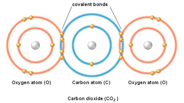 1. A covalent bond forms when atoms share a pair of