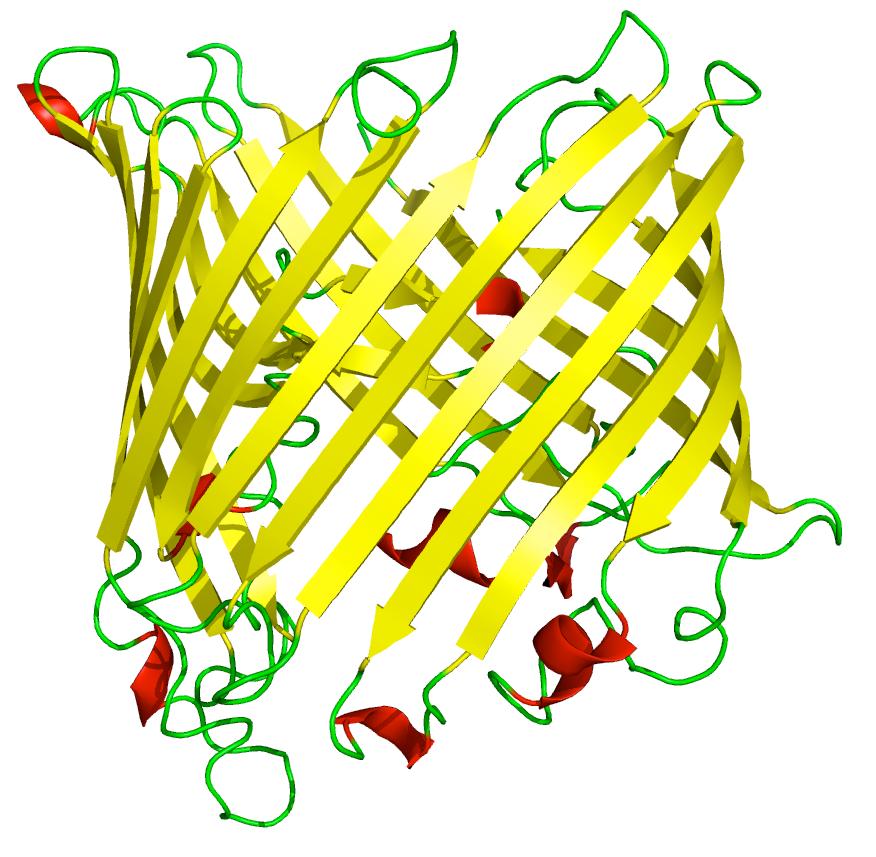 Examples Modelling protein architecture Handcrafted HMMs.