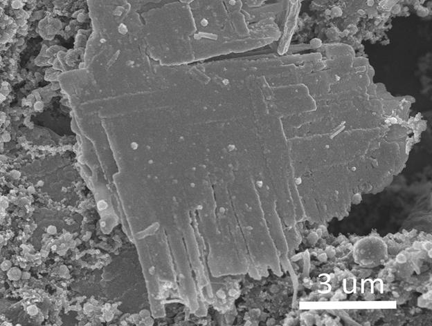 Fig. S7 Typical SEM image of the hybrid electrode material after 50 cycles.