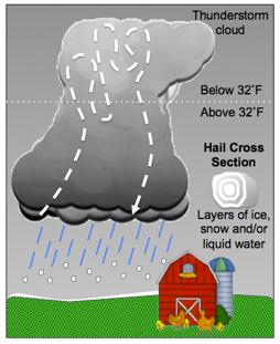 13. Why are there different forms of precipitation?
