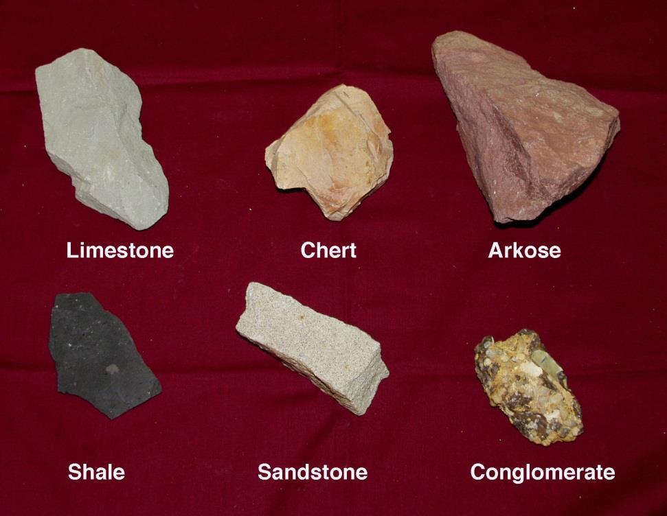 Classification of Sedimentary Rocks Classified according to particle size Conglomerate (gravel) rounded, large gravel-size or larger