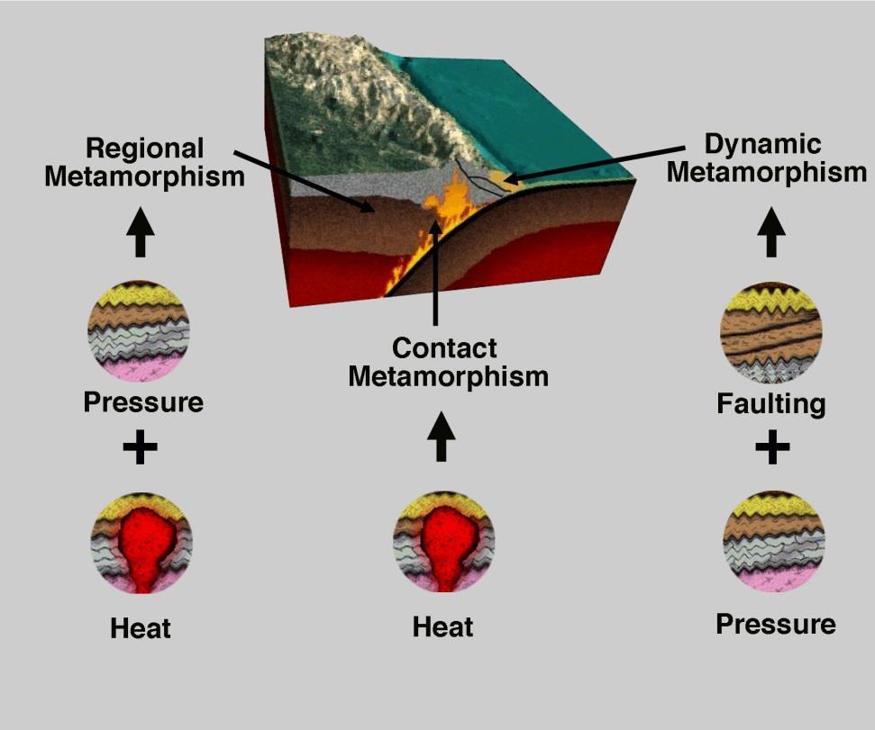 Formation of Metamorphic Rocks Types of Metamorphism Contact Metamorphism Hot magma moves into rock Regional Metamorphism
