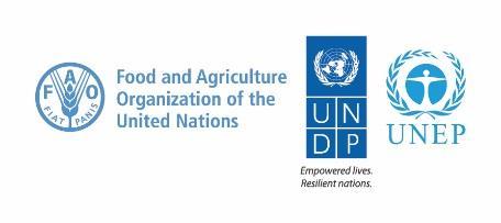 The UN-REDD Programme is the United Nations Collaborative initiative on Reducing Emissions from Deforestation and forest Degradation (REDD) in developing countries.