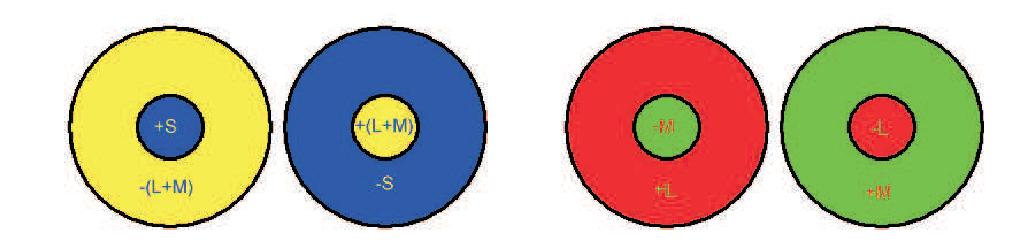 Opponent color models Underlying model: opponent channels (a) (b) Example of typical center-surround antagonistic receptive fields: (a) on-center yellow-blue receptive fields; (b) on-center red-green