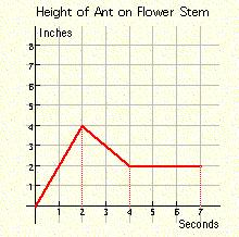 13. From the ground, an Ant crawls along a flower stem.
