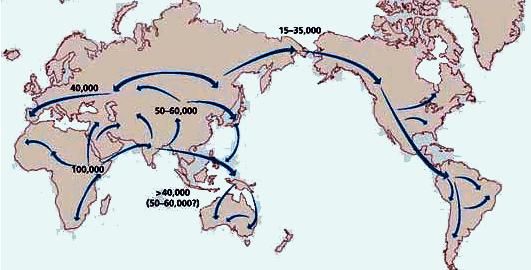 sapiens Migration of H.