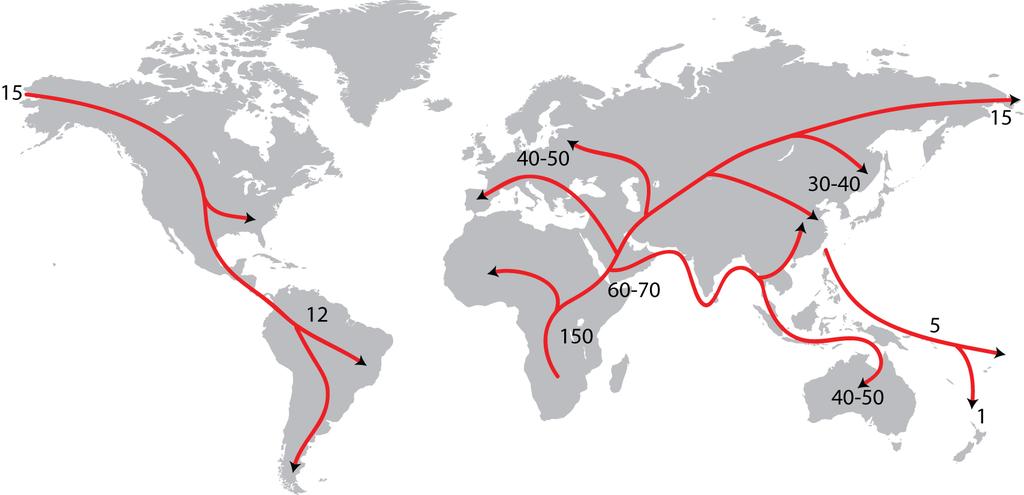Routes of human migration