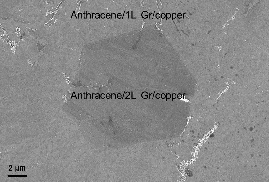 Figure S1. SEM image of an anthracene film thermally evaporated on Gr/copper at -20 o C. The hexagon in the middle of the image is the island of two-layer Gr.