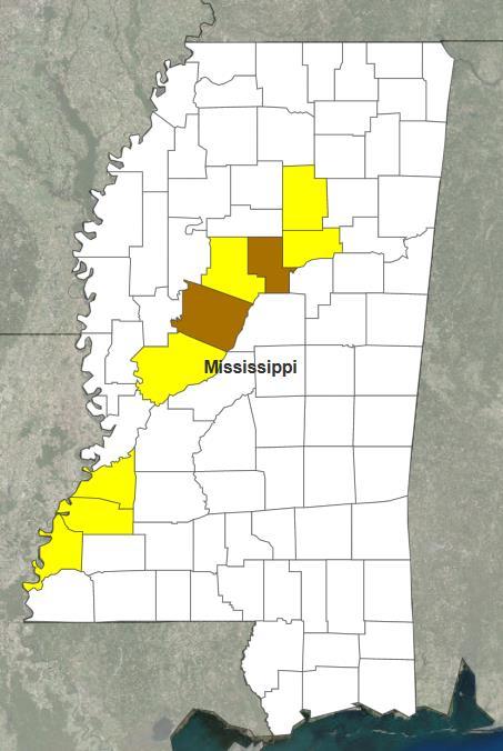 Declaration Request Mississippi Governor requested a Major Disaster Declaration on May 12, 2017 For severe storms, tornadoes, straight-line winds, and flooding on April