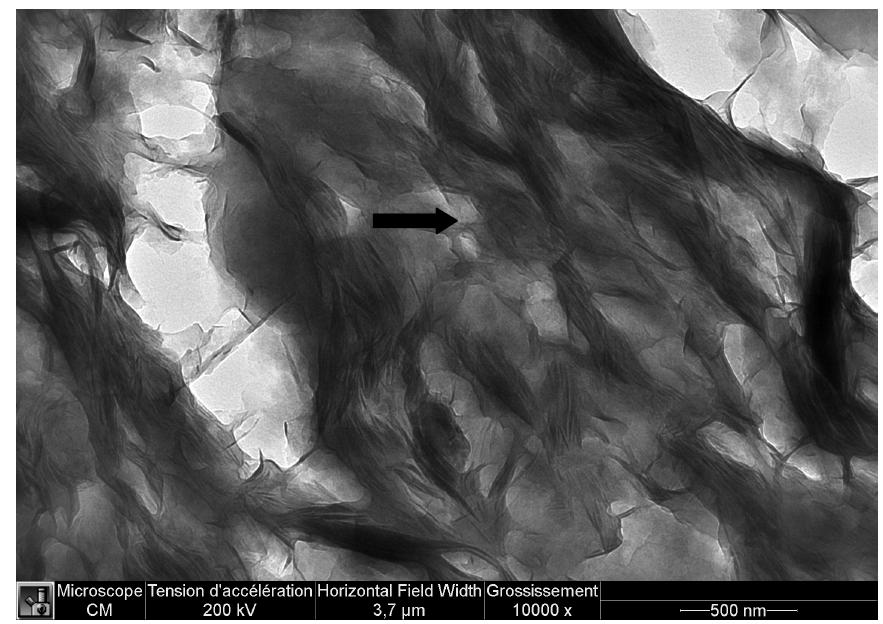 KIT-INE contribution into WP2 : Bentonite erosion 2- POST-MORTEM ANALYSIS (GEL LAYER AND BENTONITE PLUG CHARACTERIZATION) Water exchange