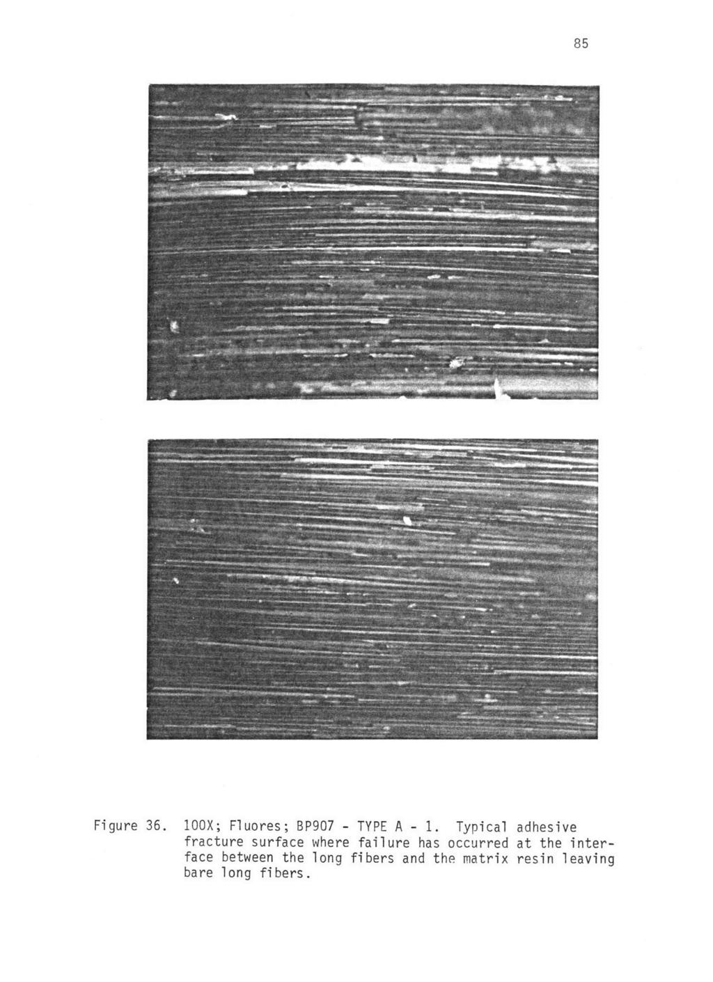 Figure 36. 100X; Fluores; BP907 - TYPE A 1.