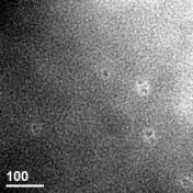 6 nm) can be seen in TEM images of CdSe/ZnS core/shell