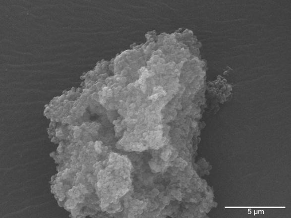 73 5000X 15000X 50000X Figure 5-3: SEM images showing individual polyanhydride microspheres within an aggregate 5.2.