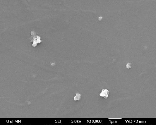 80 d m = 167 nm Figure 5-11: SEM image and mass particle size distribution by DLS