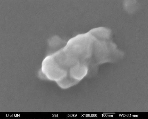 copolymer d m = 235 nm Figure 5-13: SEM image and mass particle size distribution