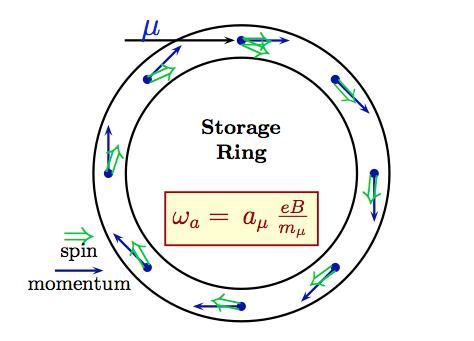 Figure 5: Illustration of the spin precession in the storage ring plane relative to a constant momentum (not to scale). The precession amounts to 12 degrees per orbit [3].