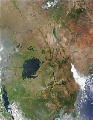 NOT JUST LIMITED TO LAKE VICTORIA Other lakes here have similar decade-scale pulses.