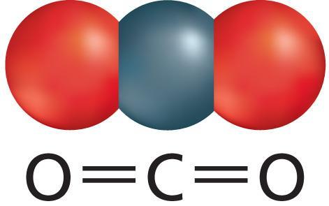 A covalent bond forms when atoms share valence electrons.
