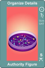 Mar 0 Moon Trine (Wax) Transit to Transit Building Discipline Take charge and use the current window of energy to make progress and build needed infrastructure.
