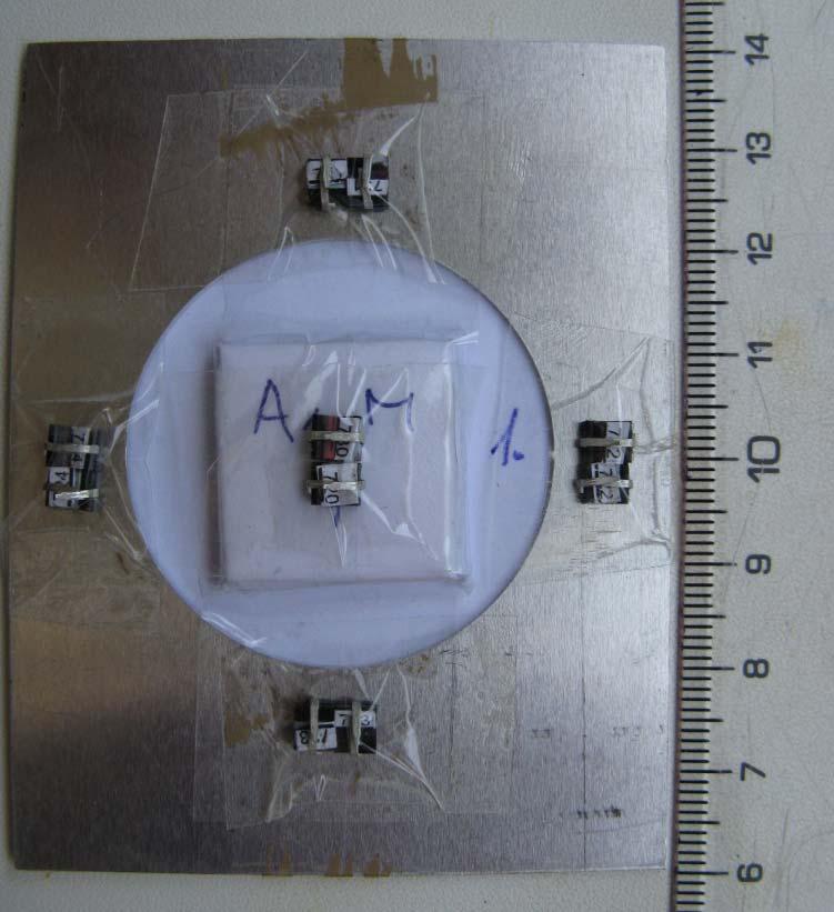 Silicon diods for neutrons monitoring Facility Diodes BPW 34F, CMRP and Si-1 silicon diods tested at Řež Originally proposed as dosimeters (CERN), but can be also used as high-energy neutron monitors