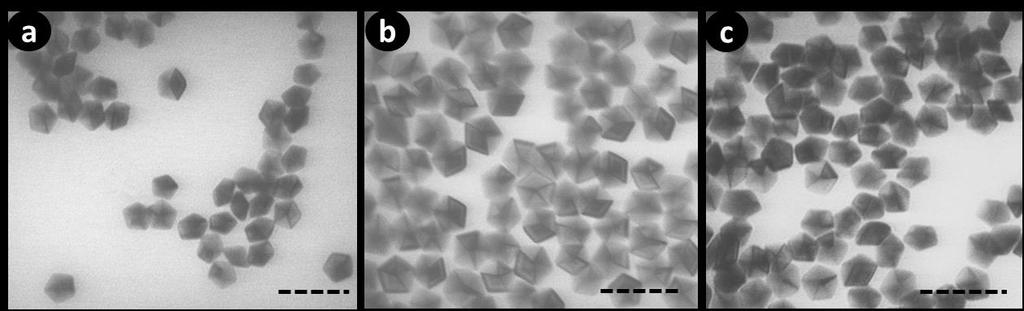 Fig. S2 TEM images of AgDeNPs synthesized using PVP with different molecular weight (M w