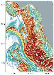 Major structures visible in flow map: vortex rings, streaks, tracks, streams, etc.