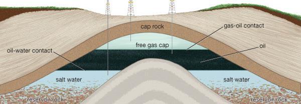 Accumulation Once gas and oil migrate into the trap, they separate according to density; gas goes to the top, oil goes to the middle, saltwater goes to the bottom Saturated pool: three phases coexist.