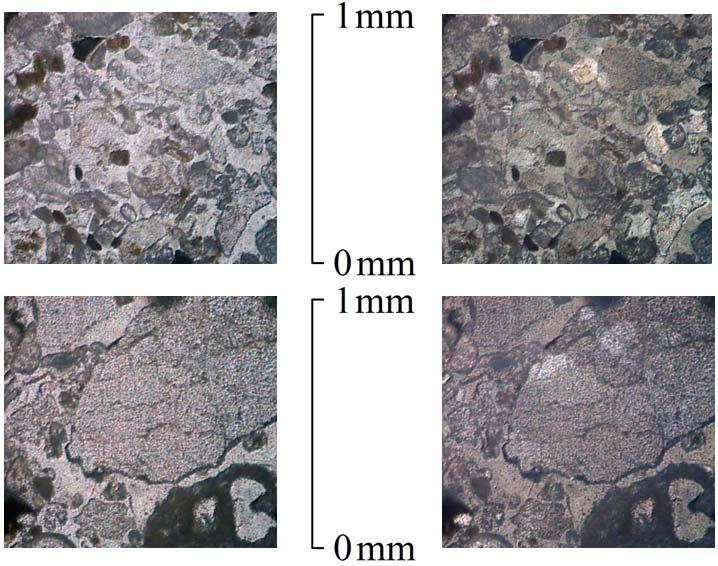 (a) Plane-polarized photomicrograph (b) Cross-polarized photomicrograph Figure 8. Polarizing microscope pictures of the tsunami deposit thin sections.