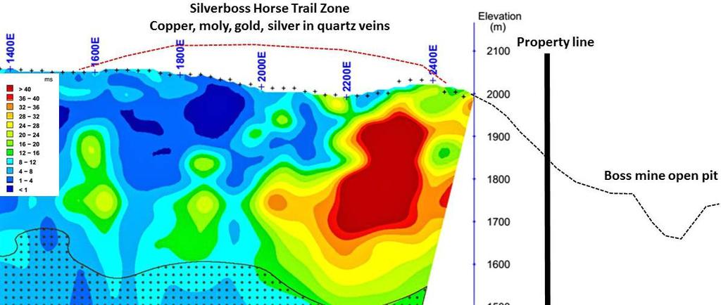 Horse Trail Zone Quartz veins