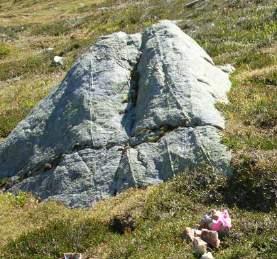 Sheeted quartz veins in granite: a bulk-tonnage