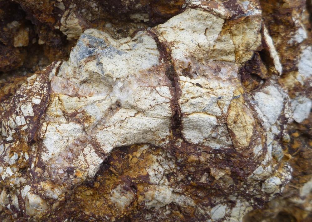 Paiute Project Surface Mineralization* 9.9 ppm Au 0.3% Cu Breccia textures in quartz-sericite-limonite (after pyrite) altered Cambrian Harmony sandstone).