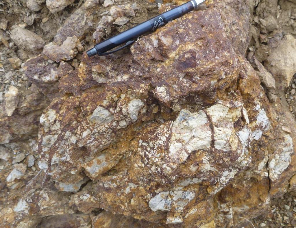 The breccia fabric strikes N20 o E and dips 73 o NW, which coincides with the trend of historic prospected gold-mineralized corridor that extends through this area.
