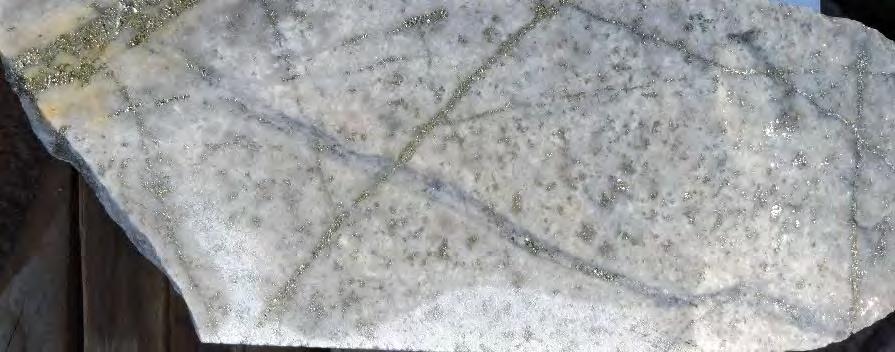 Quartz-monzodioritic porphyry with phyllic alteration B veinlets with molybdenite Cut by late D