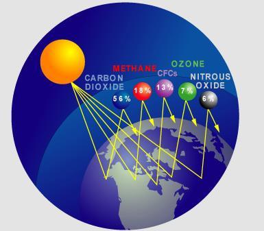 Although H 2 O and CO 2 are the most important greenhouse gases, other gases such as methane (CH 4 ), nitrous oxide (N 2 O), CFC s and ozone (O 3 ) absorb IR radiation.