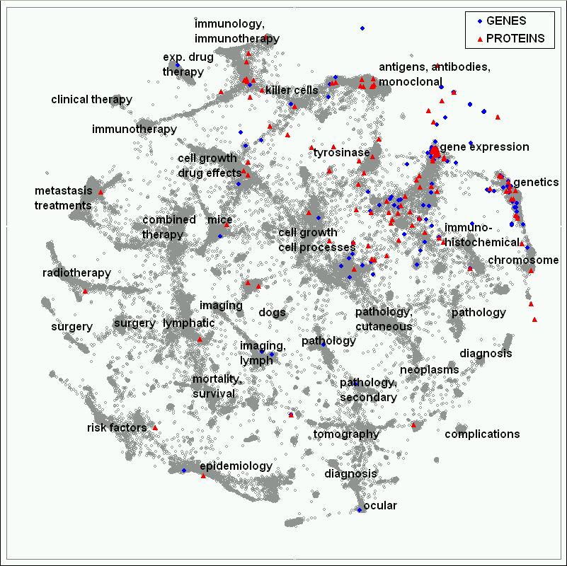 research papers (Boyack & Börner, 2003) Mapping Medline Papers,