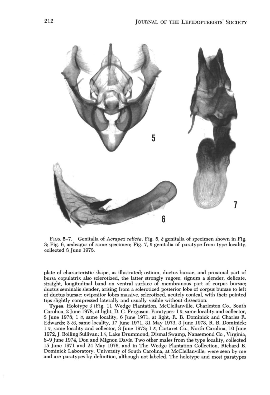 212 JOURNAL OF THE LEPIDOPTERISTS' SOCIETY FIGS. 5-7. Genitalia of Acrapex relicta. Fig. 5, ~ genitalia of specimen shown in Fig. 3; Fig. 6, aedeagus of same specimen; Fig.
