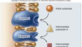 Causes shape change that makes enzyme unable