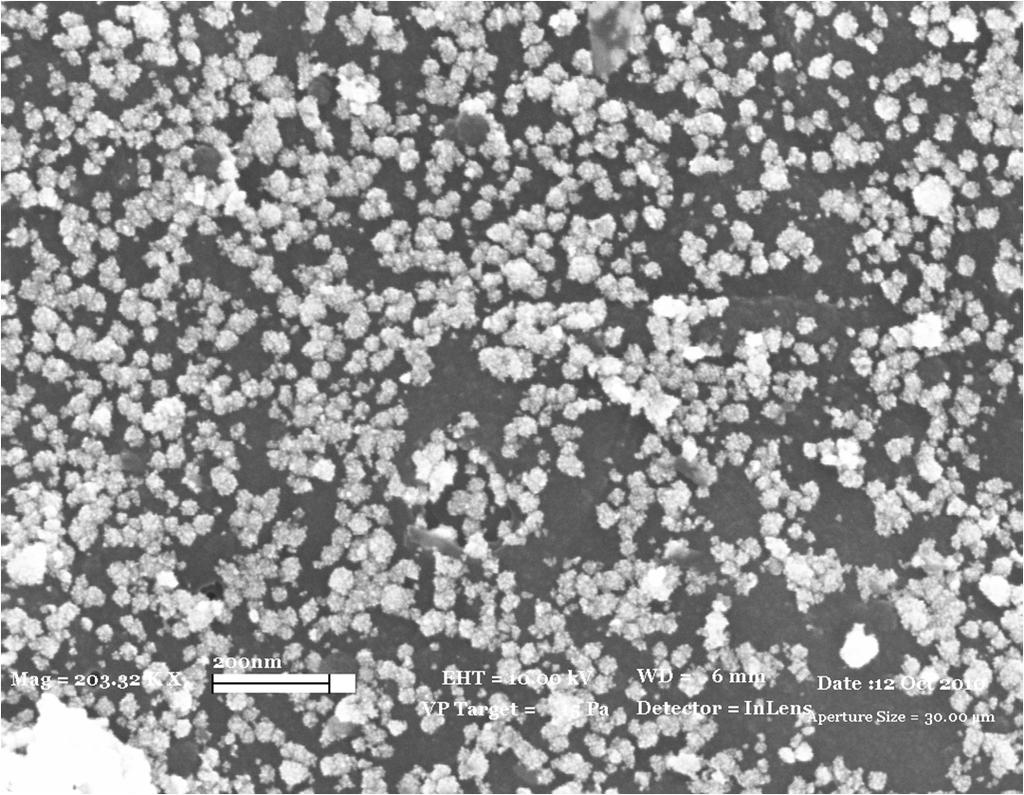 Pt deposited PPy/Graphene nanosheet-based nanocomposites Pt (8 % H2PtCl6 solution) deposition on the