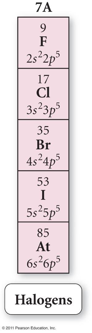 The Halogens ns 2 np 5 The electron configurations of the halogens all have one fewer electron than the next noble gas.